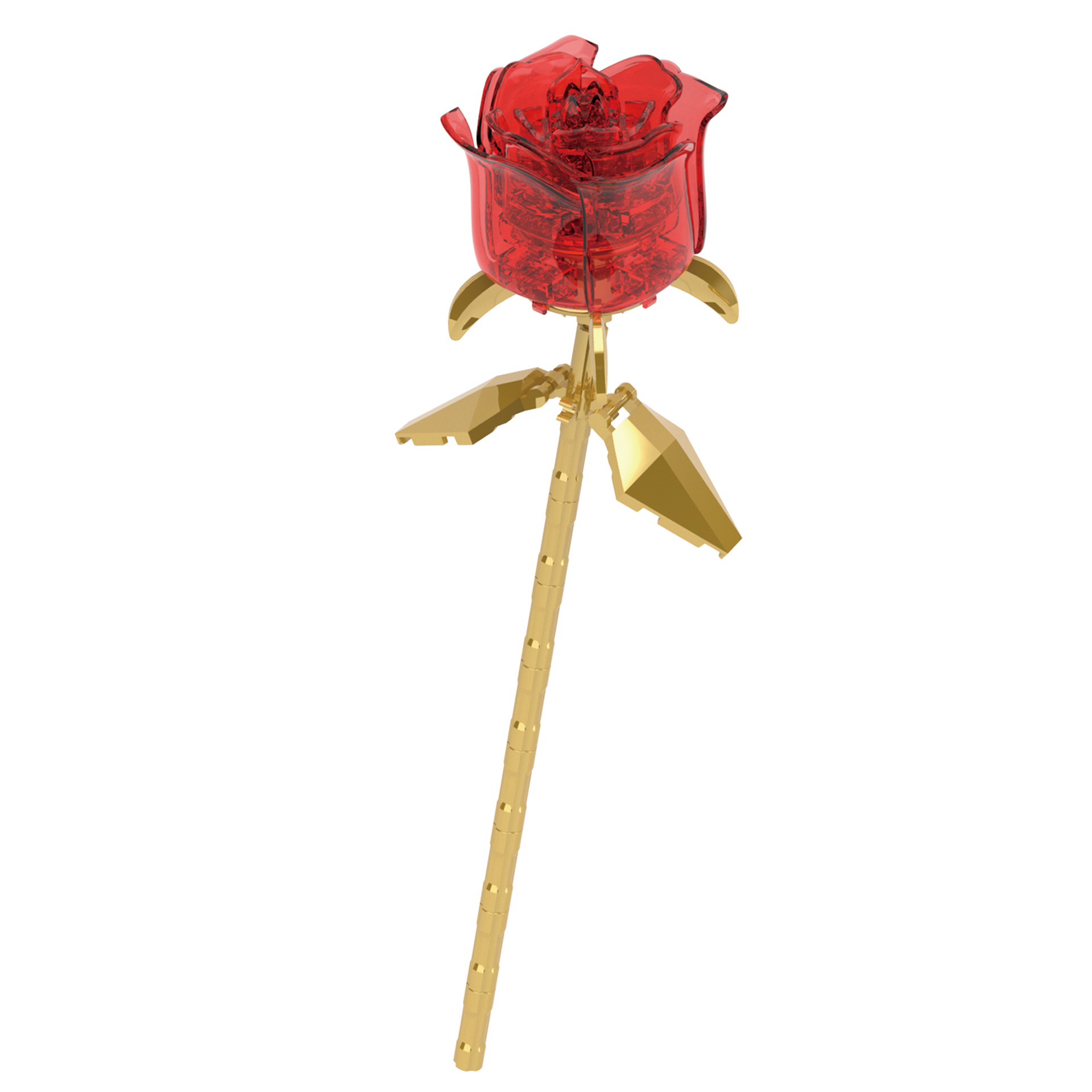 DIY Pink Black Glod Roses Nigh - Kids Outdoor Movie Night ulasan dan harga