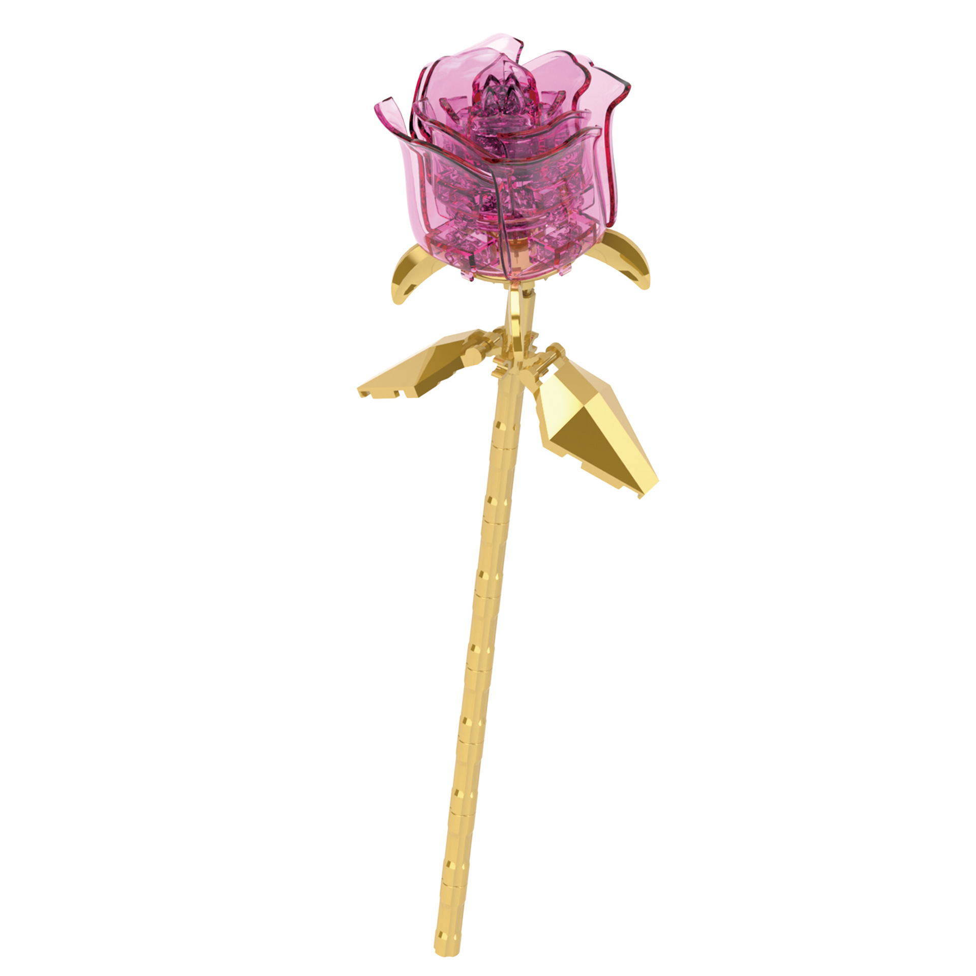 DIY Pink Black Glod Roses Nigh - Kids Outdoor Movie Night ulasan dan harga