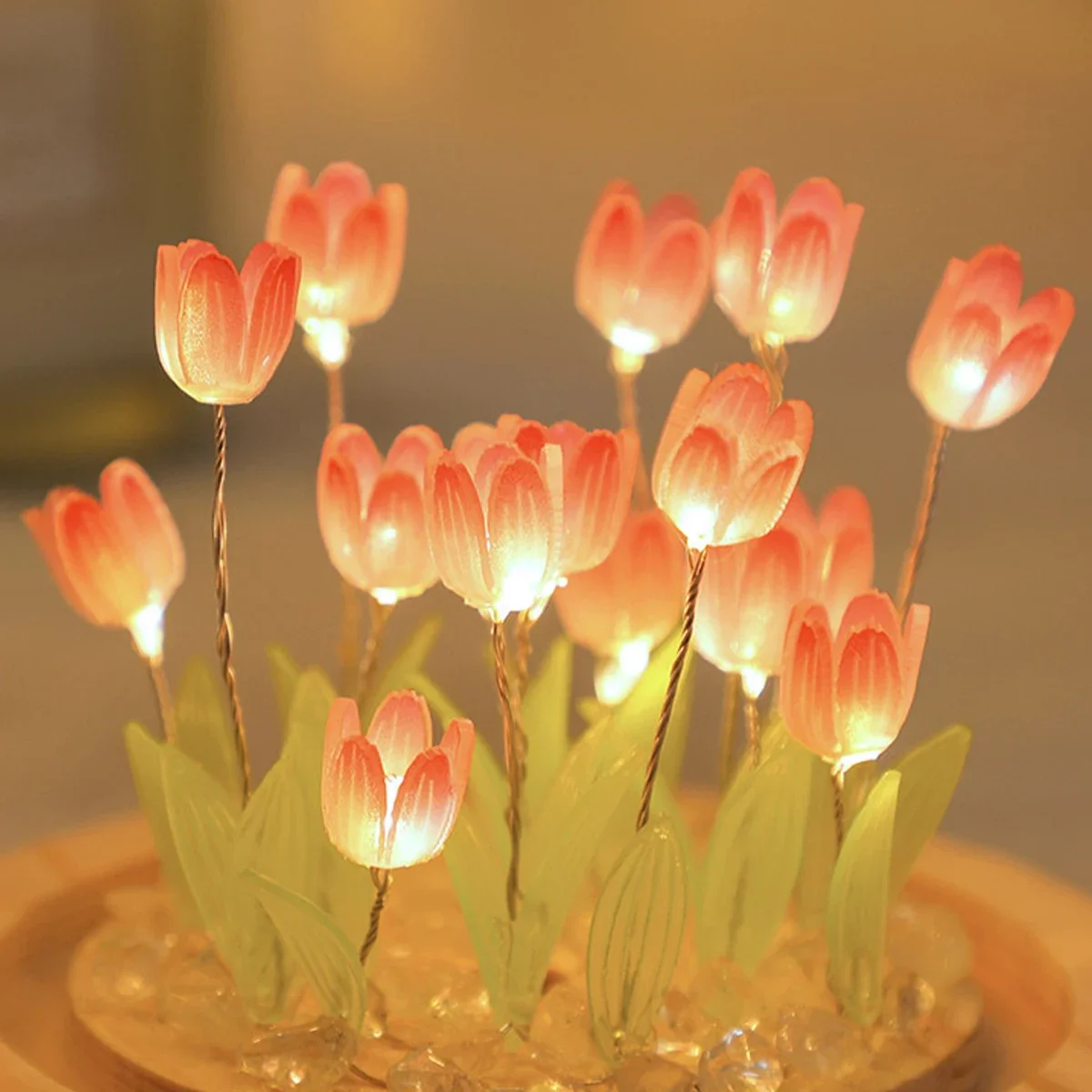 LED DIY Handmade Mini Tulip Ni - Kids Outdoor Movie Night ulasan dan harga